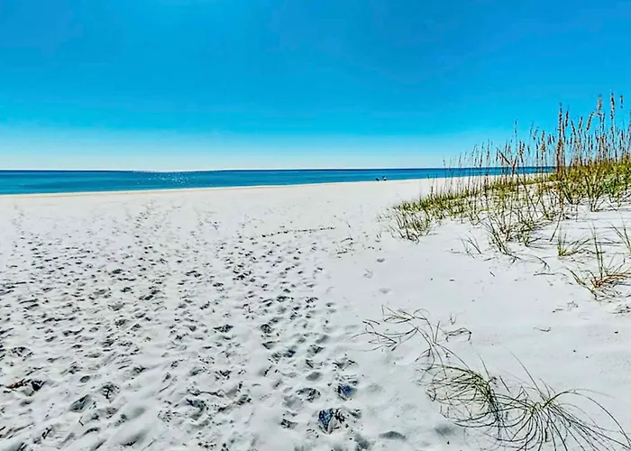 Driftwood Dunes By Collection Pensacola