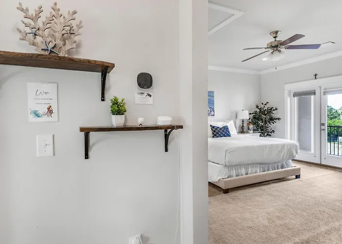 Driftwood Dunes By Collection * Pensacola